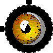 EYE'S_CAM.GIF (20547 octets)